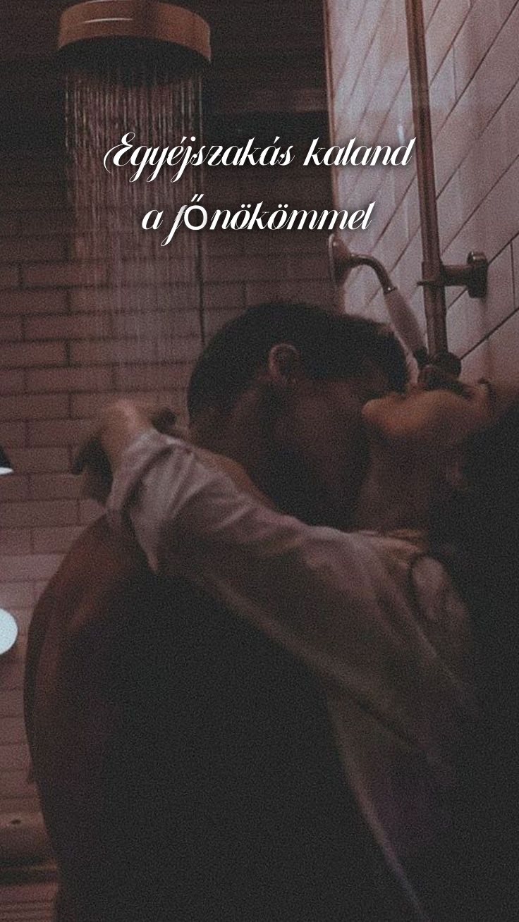 Egyéjszakás kaland a főnökömmel